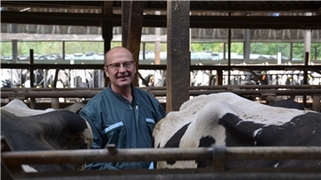 Der Tierarzt Alexander Koch steht zwischen den Rindern.