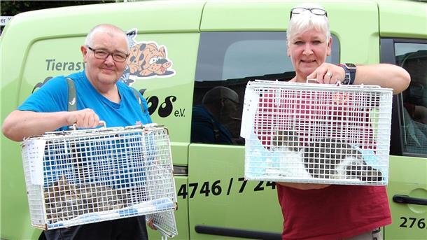 Tierpflegerin Kerstin Schumacher (links) kommt mit zwei Katzen zurück, die vom Tierarzt kastriert worden sind. Tierheimleiterin Claudia Schröder nimmt sie in Empfang.
