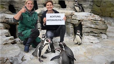 Tierpflegerin Natalie Franken (links) und Zoochefin Dr. Heike Kück bei den Humboldt-Pinguinen.