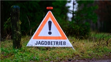 Tierschützer kritisieren unter anderem, dass weiterhin der Abschuss von Katzen erlaubt sein soll. (Symbolbild)