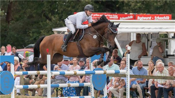 Ein Pferd mit Reiter springt über ein Hindernis. Tim-Uwe Hoffmann sorgt sich nach einem Ausbruch des Pferdeherpes um seine Pferde.