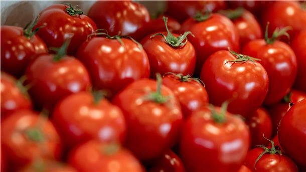 Verbrauch von Tomaten deutlich gesunken Tomaten sind nach Angaben des Bundesinformationszentrums Landwirtschaft das beliebteste Gemüse in Deutschland.