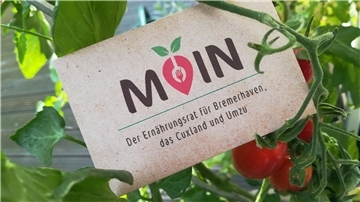 Tomatenpflanze mit Visitenkarte des Ernährungsrates