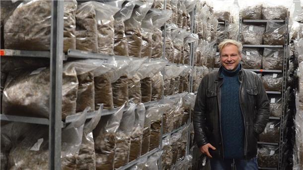 Torsten Jonas steht auf der „Säuglingsstation“ seiner Pilzfarm zwischen Rollcontainern, auf denen Pilze in Tüten heranreifen.