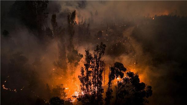 Mindestens 23 Tote bei Waldbränden in Chile Tote, Vermisste und zahlreiche Verletzte - die Flammen im Süden Chiles sind nicht zu bändigen.