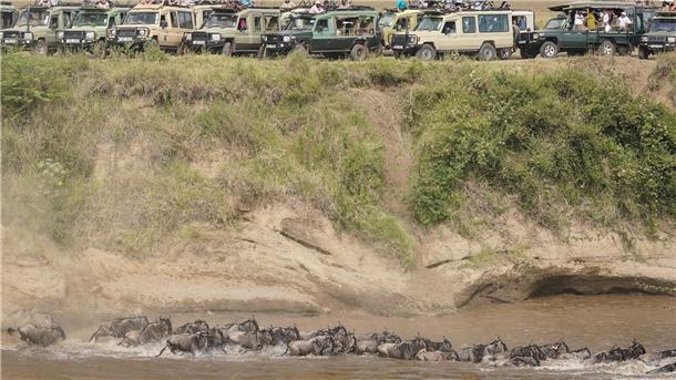 Spektakuläre Wanderung der Gnus - Sorge vor Übertourismus Touristen versammeln sich in der Nähe des Mara-Flusses im Masai Mara Nationalreservat, um die alljährliche Wanderung von rund 1,5 Millionen Gnus zu beobachten.