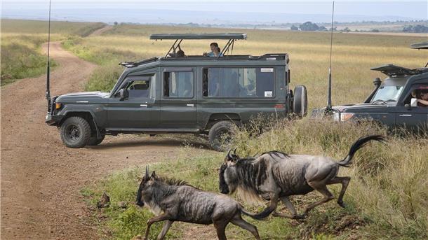 Spektakuläre Wanderung der Gnus - Sorge vor Übertourismus Touristen versammeln sich in der Nähe des Mara-Flusses im Masai Mara Nationalreservat, um die alljährliche Wanderung von rund 1,5 Millionen Gnus zu beobachten.