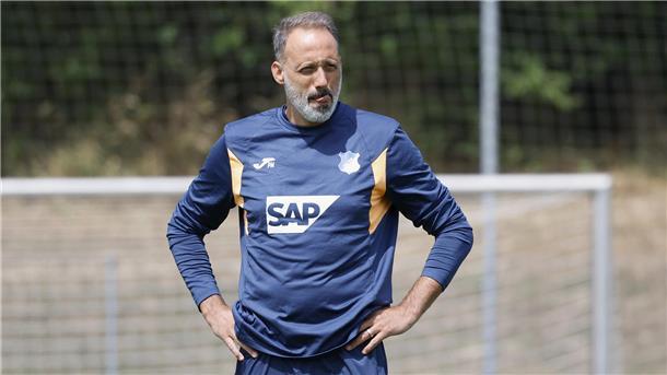 Trainer Pellegrino Matarazzo strebt mit der TSG Hoffenheim eine ruhigere Saison an.