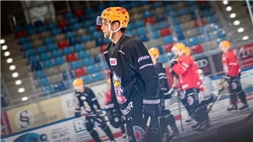 Spieler der Fischtown Pinguins stehen auf dem Eis.