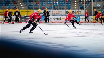Spieler der Fischtown Pinguins stehen auf dem Eis.