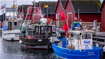 Kaum neue Einschränkungen für Ostsee-Fischer - Backhaus froh Trotz Sorgen um Dorsch und Hering: Für die deutschen Ostsee-Fischer bleibt fast alles beim Alten. (Symbolbild)