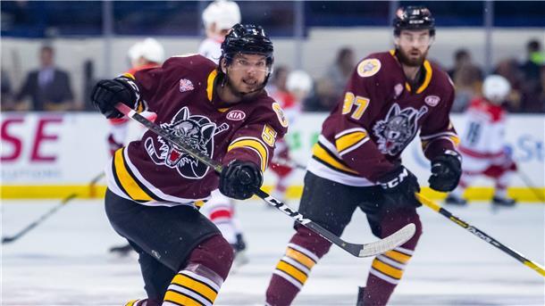 Tye McGinn wechselt von den Chicago Wolves aus der AHL zu den Fischtown Pinguins.