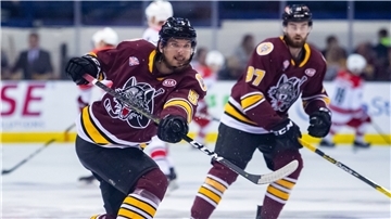 Tye McGinn wechselt von den Chicago Wolves aus der AHL zu den Fischtown Pinguins.