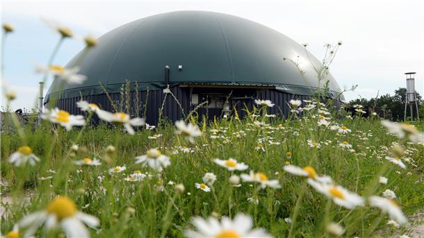 Biogas