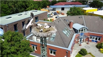 Störche Dorum Seier