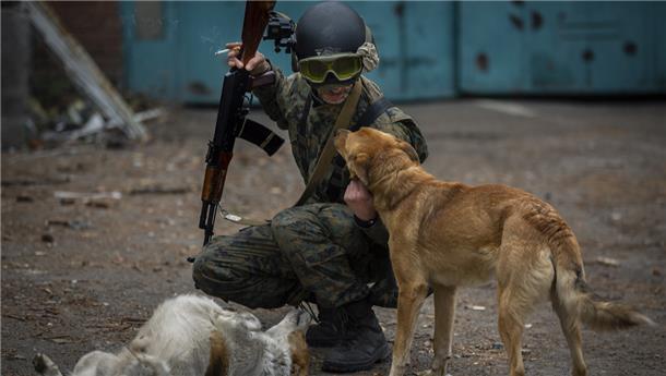 Ukraine, Barwinkowe: Ein Soldat streichelt streunende Hunde auf einer Straße. Viele Menschen in Deutschland wollen den ukrainischen Hunden ebenfalls helfen.