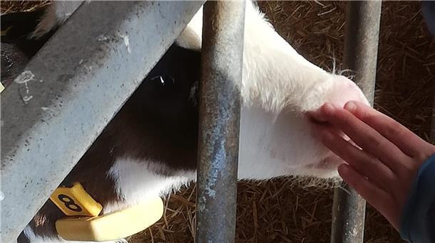 Um Aufklärung zu betreiben, hat das Landvolk Niedersachsen, Kreisverband Bremervörde e.V., mit BAUER e.V. und LANDWIRT e.V. zwei Fördervereine ins Leben gerufen, die Besuchergruppe auf ihre Höfe einladen und über die moderne Landwirtschaft aufklären.