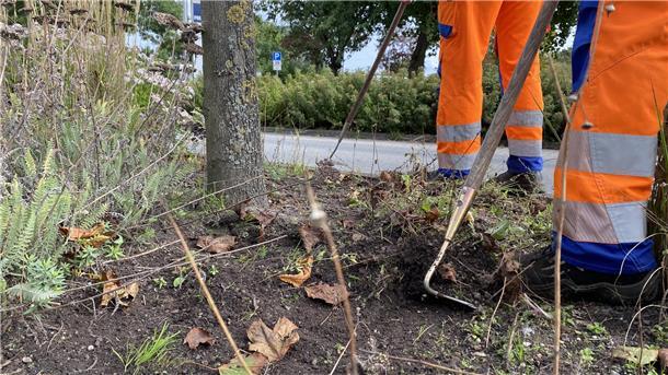 Um dem Wildkraut auf den Grünflächen der Stadt zu Leibe zu rücken, müssen die Mitarbeiter vom Bauhof Nordenham per Hand mit einer Hacke vorgehen.