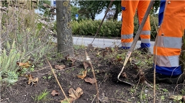 Um dem Wildkraut auf den Grünflächen der Stadt zu Leibe zu rücken, müssen die Mitarbeiter vom Bauhof Nordenham per Hand mit einer Hacke vorgehen.