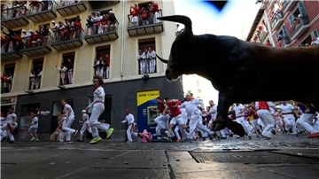 Um die 600 Kilogramm schwere Muskelpakete, bis zu 40 Sachen schnell und nicht zum Spaßen aufgelegt - Kampfstiere bei den berühmten und umstrittenen Stierhatzen im nordspanischen Pamplona.