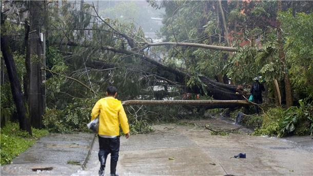Taifun „Doksuri“ wütet auf den Philippinen Umgestürzte Bäume blockieren eine Straße in Baguio City im Norden der Philippinen. .