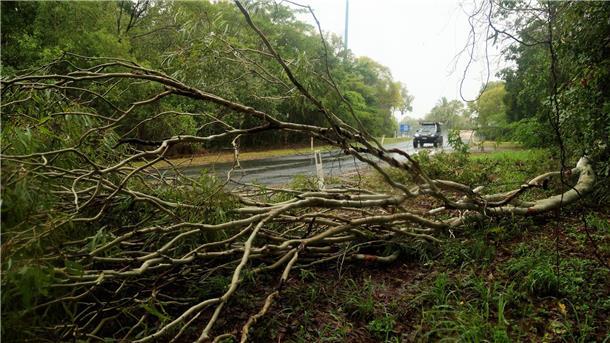 Umgestürzte Bäume nach starken Winden durch den Zyklon „Jasper“ an einer Straße  in Cairns an der australischen Ostküste.