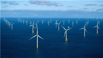 Der Offshore-Windpark „Dolwin Alpha". Umweltschützer sehen durch den Ausbau der Offshore-Windernergie große Gefahren für das Wattenmeer. 