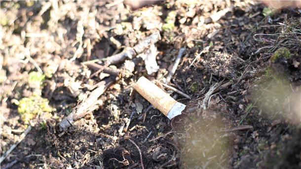 Unachtsamkeit reicht aus, um die Erde im Moor zum Brennen zu bringen. In Tarmstedt wurde ein Flächenbrand gerade noch verhindert.