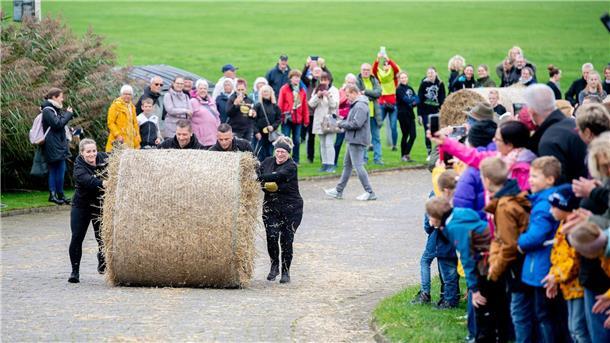 Bilder des Tages Und Action: Das Team „Die Strohstürmer“ rollt bei der Strohballen-Rollmeisterschaft einen Strohballen den Deich hinauf.