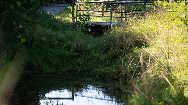 Koffer mit Leiche im Bach - Soko „Trolley“ vor einem Rätsel Unter der Brücke hatten Anwohner schon früh den Geruch mitbekommen.