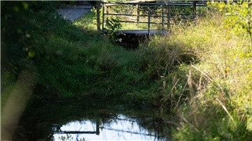 Unter der Brücke hatten Anwohner schon früh den Geruch mitbekommen.