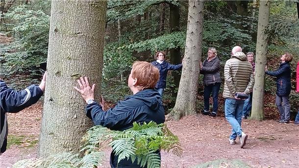 Waldbaden: „Einssein mit der Natur“ Unter Leitung eines Coaches aus Bremen nahmen die Rhader Landfrauen an einem Waldbaden teil.