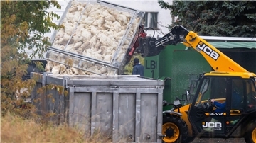 Vogelgrippe breitet sich aus – Stallpflicht greift Unzählige Gänse und Enten mussten aufgrund des Vogelgrippe-Ausbruchs in Agrarbetrieben bereits getötet werden.  (Archivbild)