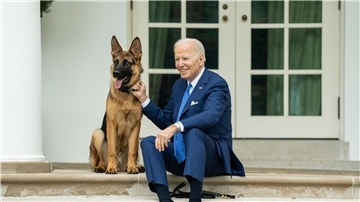 US-Präsident Joe Biden und sein Deutscher Schäferhund „Commander“.