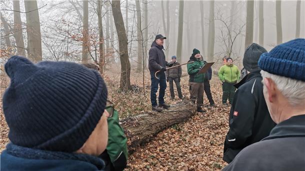 Kaminholz und Kunstobjekte: Viele Besucher bei der Holzauktion in Holßel Uwe Lilienthal auf einem Baumstamm bei der Holzauktion in Holßel