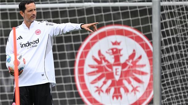 Kontinuität als Trumpf: Überholt Frankfurt Ex-Meister Bayer? Verfolgt mit der Eintracht in dieser Saison hohe Ziele: Trainer Dino Toppmöller.
