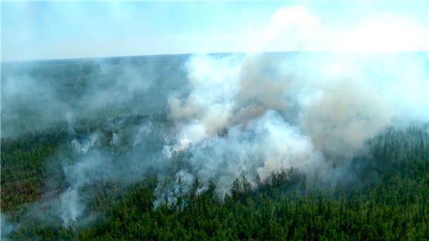 Waldbrände in Sibirien auf mehr als einer Million Hektar Verheerende Waldbränden machen den russischen Behörden vor allem in Sibirien jedes Jahr zu schaffen. (Archivbild)