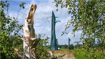 im Vordergrund ein toter Stamm, im Hintergrund ein verhüllter Strommast