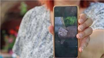 Vermutlich war Kater Chino zur falschen Zeit am falschen Ort. Mit Knochenbrüchen und schweren inneren Verletzungen musste das Tier eingeschläfert werden.