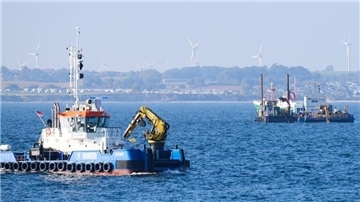 Versenkte Weltkriegsmunition gefährdet Nord- und Ostsee: In Bremerhaven analysieren Forschende des Thünen-Instituts und des Alfred-Wegener-Instituts, wie sich Schadstoffe aus Altlasten auf Meerestiere und Ökosysteme auswirken.