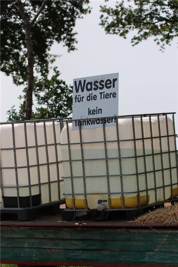 Viel trinken, das gilt bei der Hitze am Wochenende für Menschen und für Tiere. D...