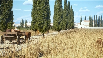 Vielbefahrene Straßen waren oft gepflastert, wie in der antiken Stadt Timgad in Algerien