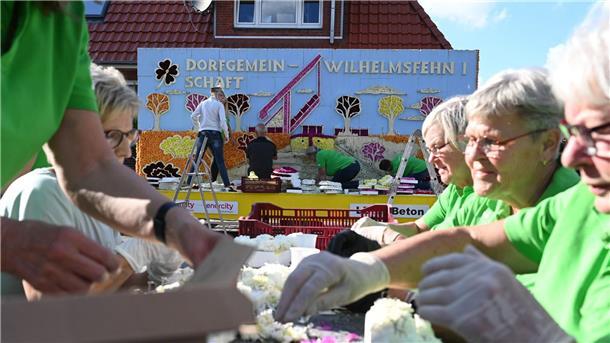 Eine Stadt, ein Blumenmeer – Wiesmoor feiert Blütenfest Viele Ehrenamtliche stecken Dahlien, um damit die Motivwagen zu schmücken.