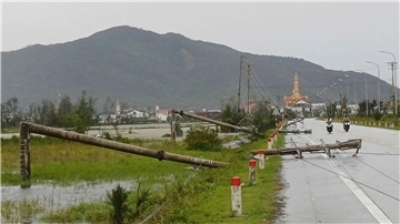 Nach Philippinen jetzt Vietnam: Tote bei Sturm „Bualoi“ Viele Strommasten knickten in dem Sturm um.