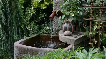 Vielfältige Garteneindrücke und persönliche Tipps erwarten Besucher am 1. Juni in den Gärten in Hemslingen und Söhlingen. Das Foto zeigt den Garten von René Schönfeld
