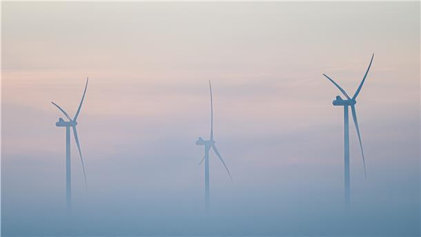 Vögel fliegen am frühen Morgen im Nebel vor Windrädern entlang.
