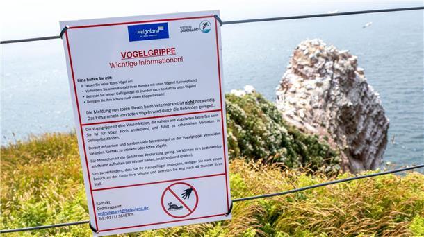 Ein Schild, das vor der Vogelgrippe warnt