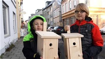 Voll engagiert: Jonas und Tilman haben im Rahmen eines neuen BUND-Projektes Nistkästen für Vögel gebaut, die in der Stadt leben. 