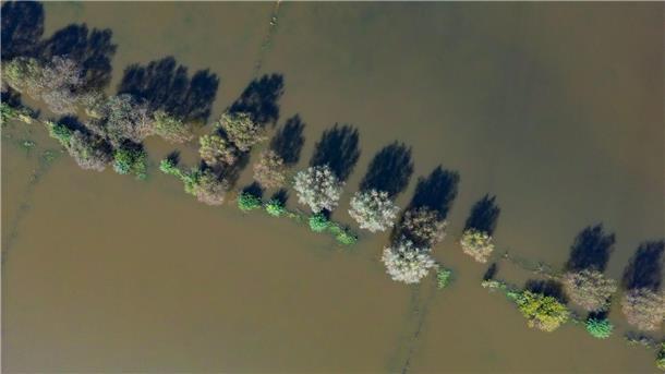 Vom Hochwasser des Flusses Oder sind im September 2024 Wiesen vor der Stadt Frankfurt (Oder) überflutet. (Archivbild)