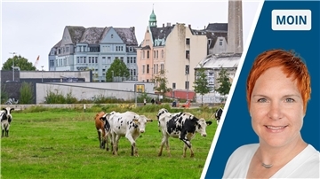 Von Stadtkühen und Stadtkindern spricht die Autorin.